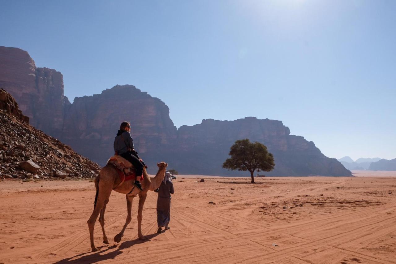 Wadi Rum Bedouin Camp And Desert Tours מראה חיצוני תמונה
