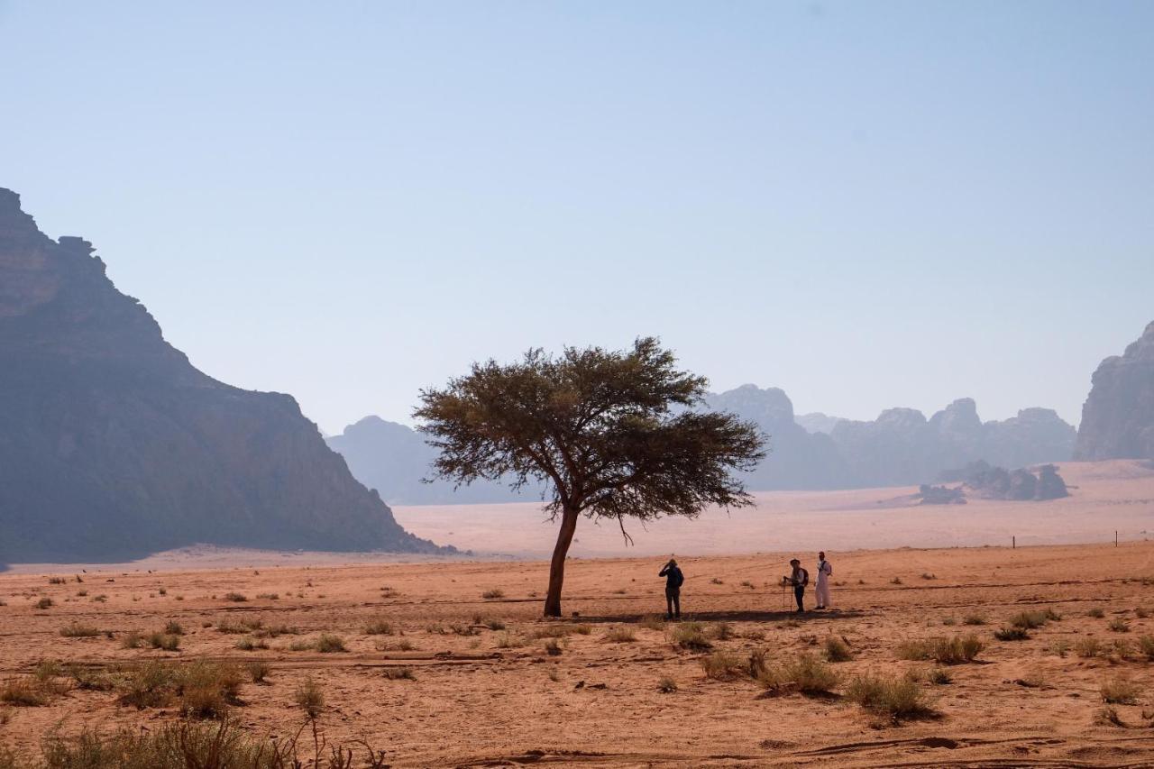 Wadi Rum Bedouin Camp And Desert Tours מראה חיצוני תמונה
